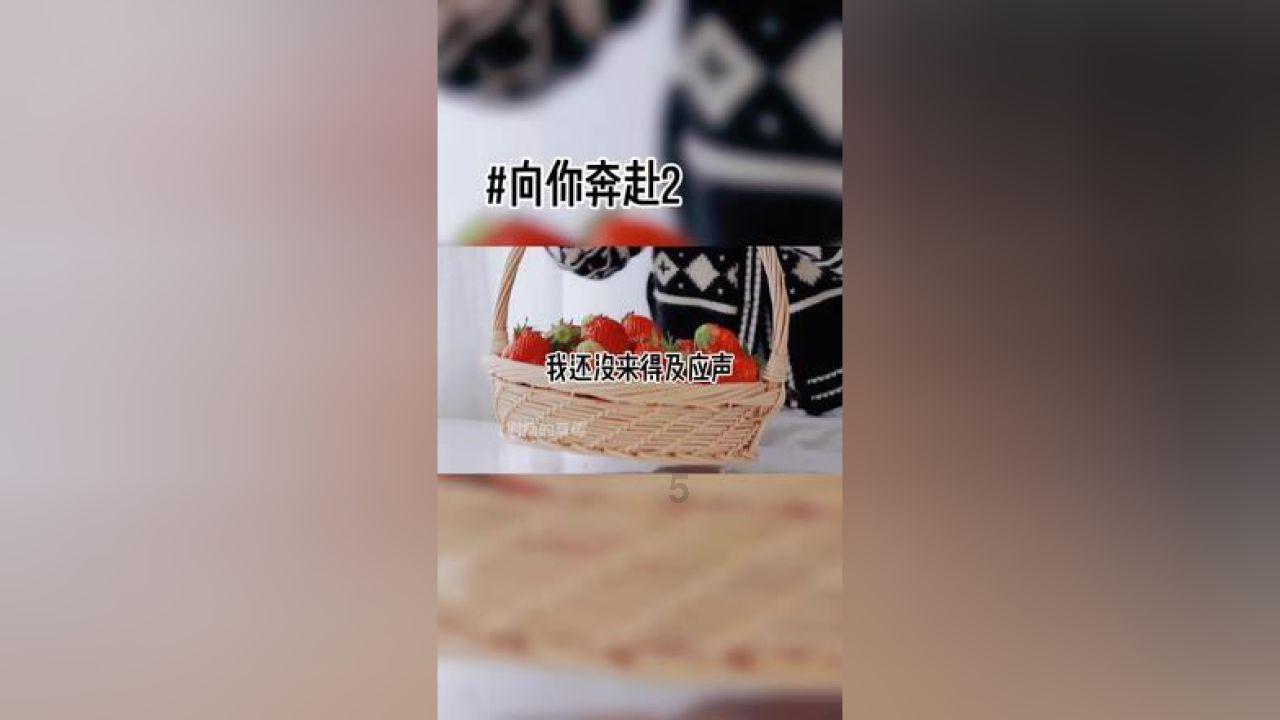 血战西部