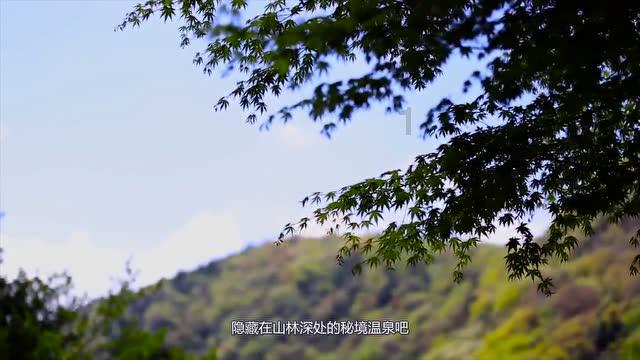广西东兴市实验学校什么时候开学？