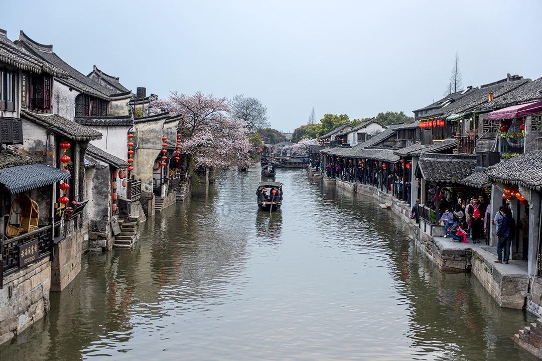 逃离马儿森林